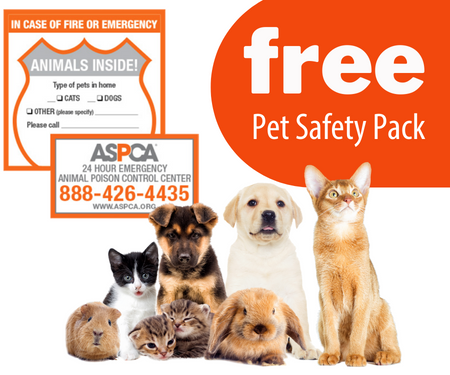 Free Pet Safety Pack From The ASPCA